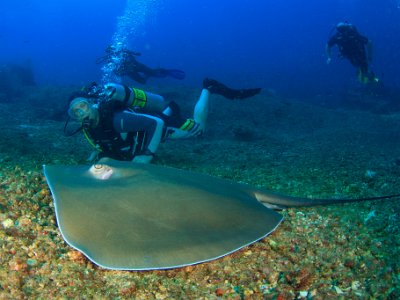 Similan Dive Trip Professional Photos By Rich